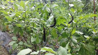 박상현님의 자유주제 · 자유게시판 작성글 사진