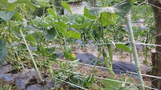 박상현님의 자유주제 · 자유게시판 작성글 사진