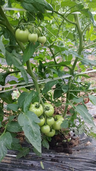 박상현님의 자유주제 · 자유게시판 작성글 사진