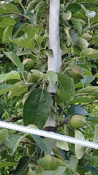 박상현님의 자유주제 · 자유게시판 작성글 사진