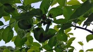 박상현님의 자유주제 · 자유게시판 작성글 사진