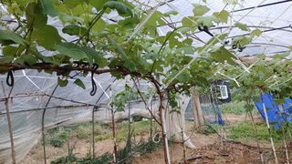 박상현님의 자유주제 · 자유게시판 작성글 사진