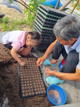 선비 농군님의 콩 · 영농일지 작성글 사진