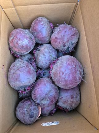 봉우재농부님의 자유주제 · 자유게시판 작성글 사진