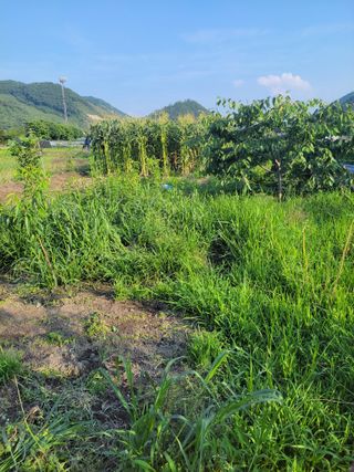 우영옥님의 자유주제 · 자유게시판 작성글 사진