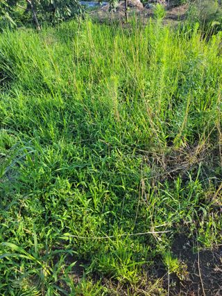 우영옥님의 자유주제 · 자유게시판 작성글 사진