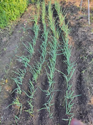 우영옥님의 자유주제 · 자유게시판 작성글 사진