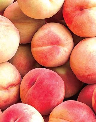 박상현님의 🍉여름을 나는 방법 · 참여글 작성글 사진