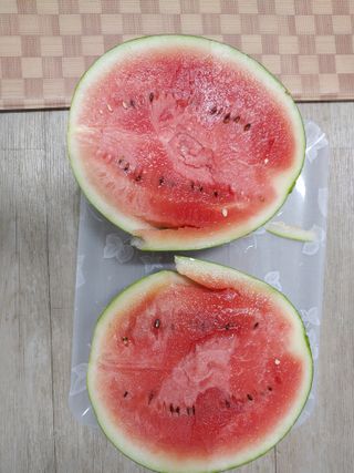 박상현님의 🍉여름을 나는 방법 · 참여글 작성글 사진