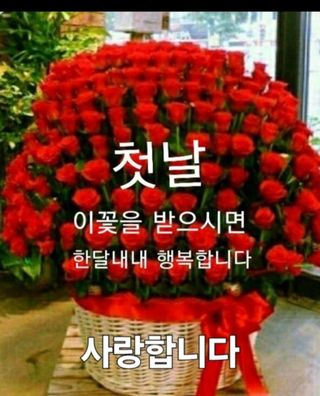 박상현님의 🍉여름을 나는 방법 · 참여글 작성글 사진