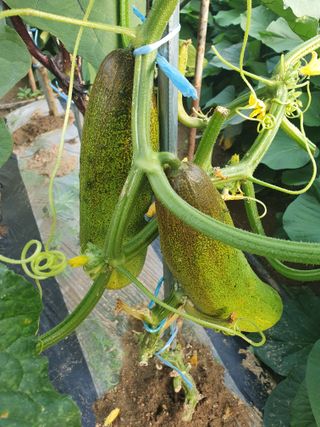 주옥님의 자유주제 · 자유게시판 작성글 사진