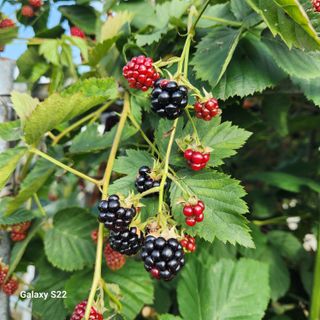 우리꽃님의 자유주제 · 자유게시판 작성글 사진