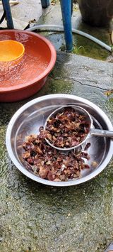 팜모닝 팜모닝·출석 게시글 이미지