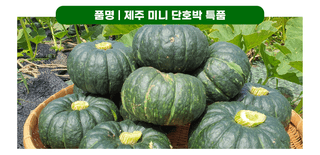 최원석님의 작성글 사진