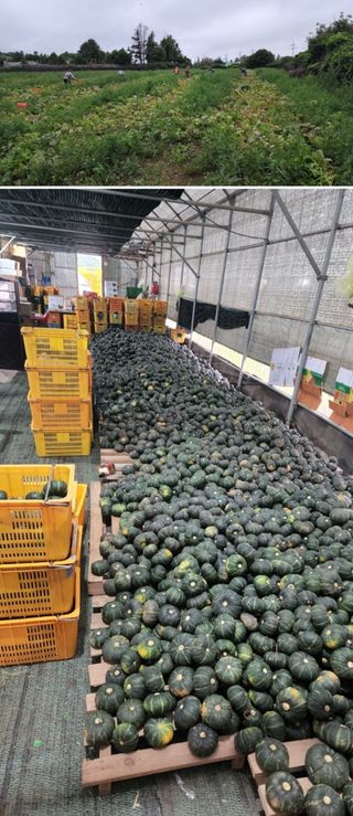 최원석님의 작성글 사진