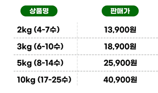 최원석님의 작성글 사진