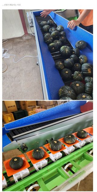 최원석님의 작성글 사진