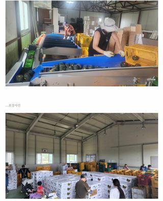 최원석님의 작성글 사진