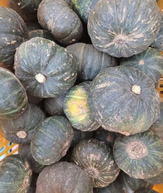 최원석님의 작성글 사진