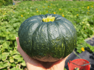 최원석님의 작성글 사진