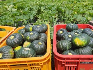 최원석님의 작성글 사진