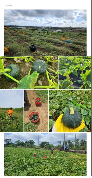 최원석님의 작성글 사진