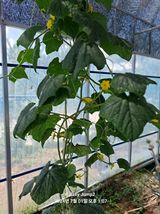 팜모닝 자유주제·자유게시판 게시글 이미지