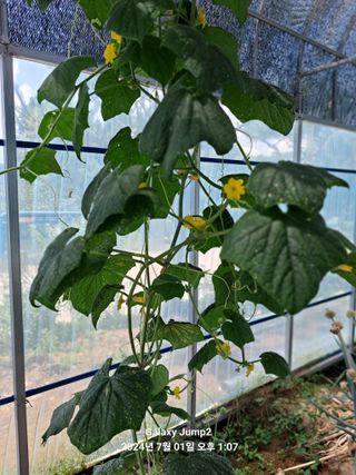 선우실농장님의 자유주제 · 자유게시판 작성글 사진