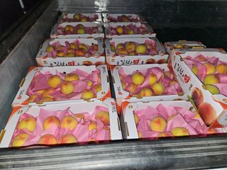 이응태님의 작성글 사진