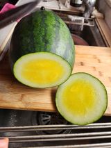 팜모닝 자유주제·자유게시판 게시글 이미지