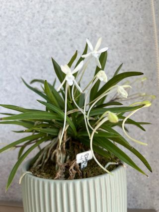 황대헌님의 🍉여름을 나는 방법 · 참여글 작성글 사진