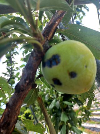 알 수 없음님의 자유주제 · 자유게시판 작성글 사진