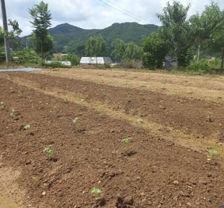 두두짱돌님의 자유주제 · 자유게시판 작성글 사진