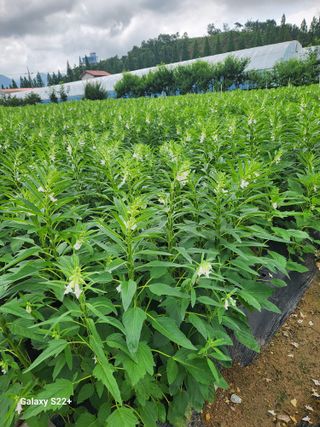 이봉한 님의 자유주제 · 자유게시판 작성글 사진