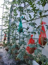 팜모닝 자유주제·사진전 게시글 이미지