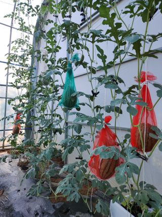 양기수님의 자유주제 · 사진전 작성글 사진