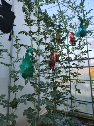 양기수님의 자유주제 · 사진전 작성글 사진