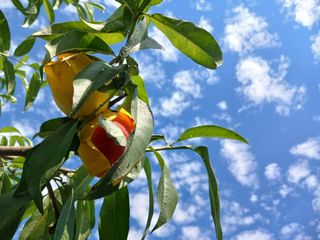 금동이네님의 자유주제 · 자유게시판 작성글 사진