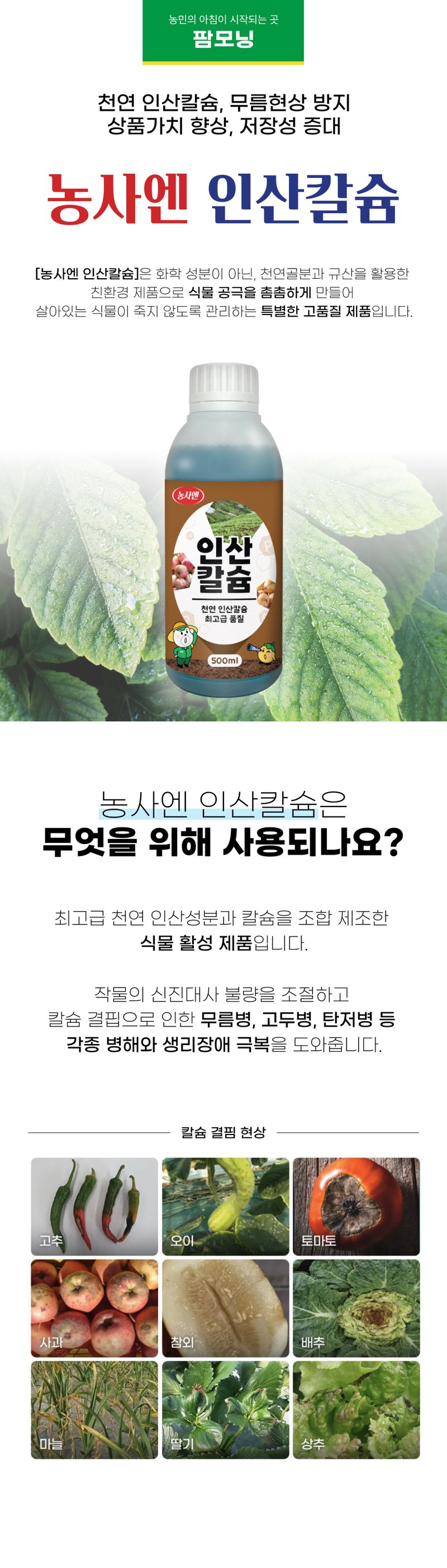 농사엔 공식님의 장터 판매 상품 [[농사엔] 인산칼슘 500ml (추가증정 행사!) - 고품질 인산과 칼슘 함유] 첨부 사진