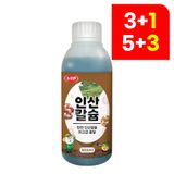 팜모닝 · 게시글 이미지