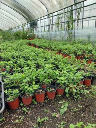 팜모닝회원 최창락 님의 자유주제 · 사진전 작성글 사진