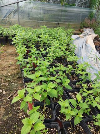 팜모닝회원 최창락 님의 자유주제 · 사진전 작성글 사진