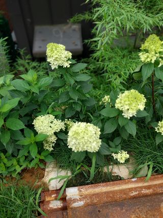 팜모닝회원 최창락 님의 자유주제 · 사진전 작성글 사진