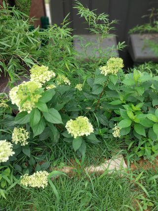 팜모닝회원 최창락 님의 자유주제 · 사진전 작성글 사진