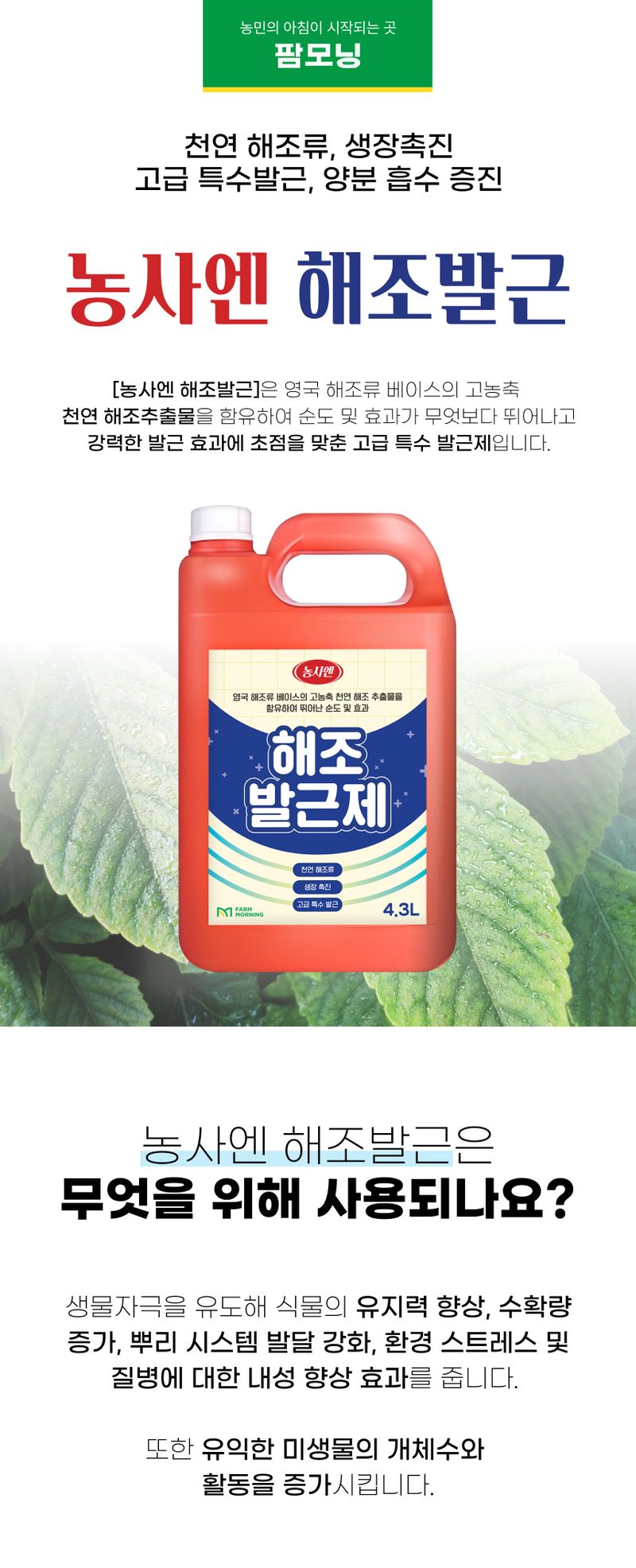 농사엔 공식님의 장터 판매 상품 [[농사엔] 해조발근제 4.3L (추가증정 행사)] 첨부 사진