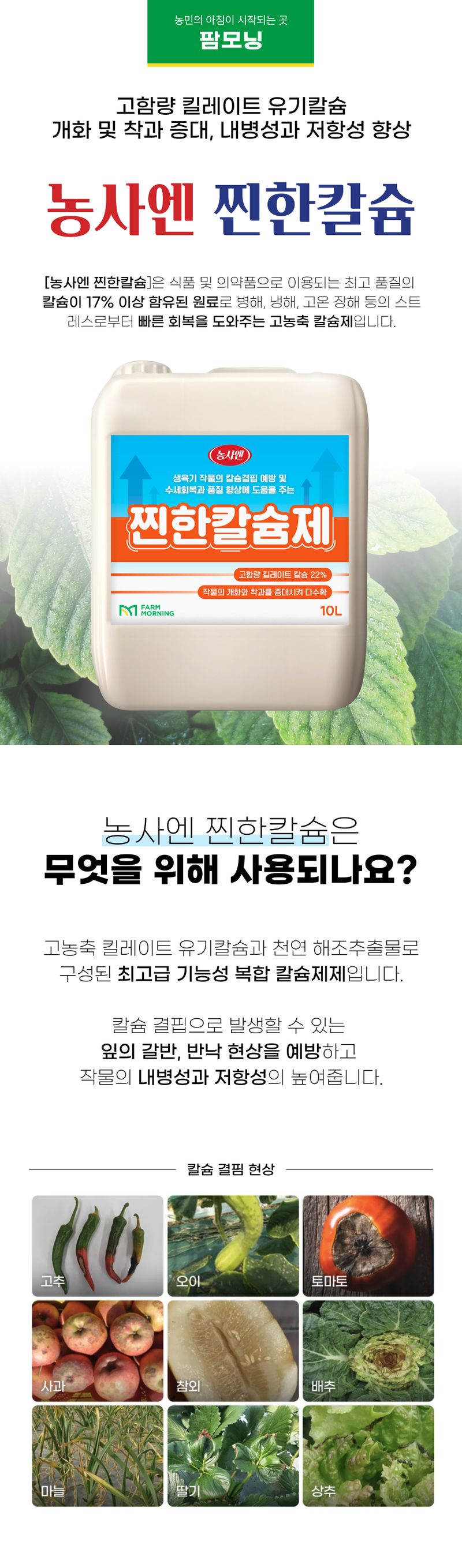 농사엔 공식님의 장터 판매 상품 [[농사엔] 찐한칼슘제 10L] 첨부 사진