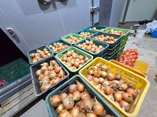 무안정농장님의 작성글 사진