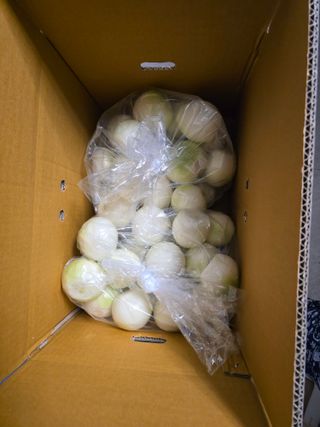 무안정농장님의 작성글 사진