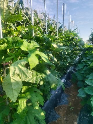 정정녀님의 자유주제 · 자유게시판 작성글 사진