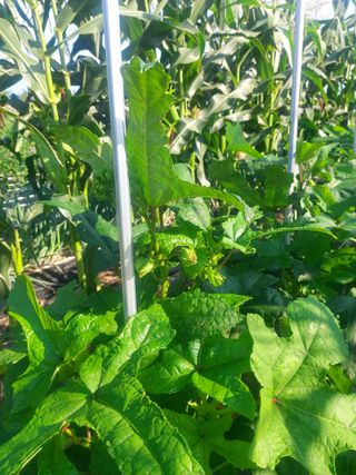 정정녀님의 자유주제 · 자유게시판 작성글 사진